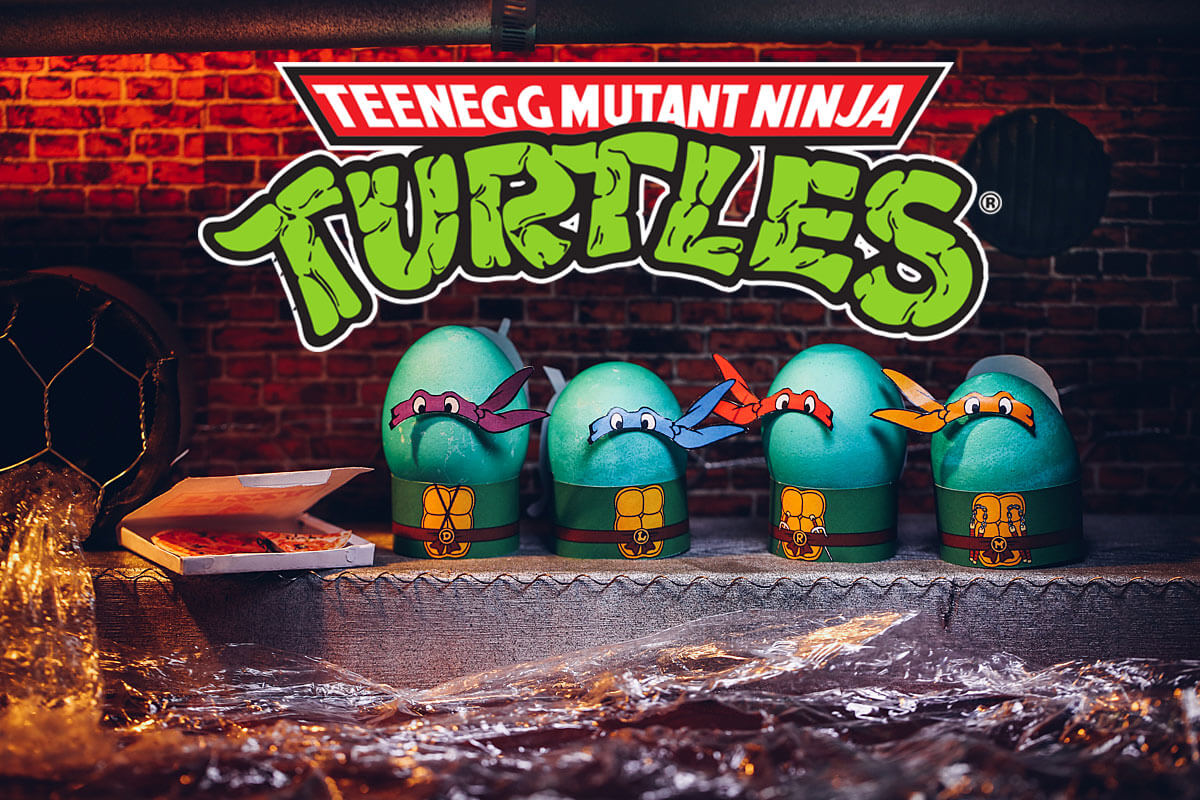 Ninja Turtles Egg Costumes